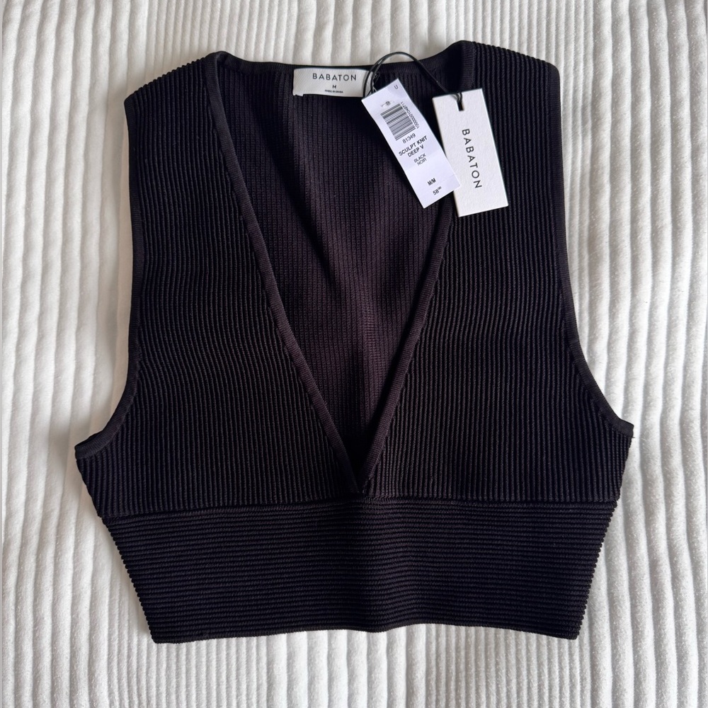 Aritzia Babaton Top